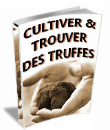 Couverture de Truffes : comment les cultiver, comment les trouver?