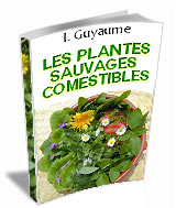 Couverture de Plantes sauvages comestibles