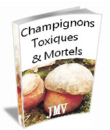 Couverture de Champignons toxiques et mortels