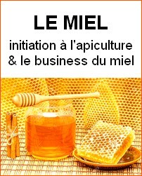 Couverture de Le miel