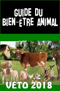 Couverture de Guide du bien-être animal