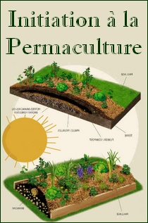 Couverture de Initiation à la permaculture