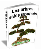 Couverture de Bonsaï, les arbres nains japonais