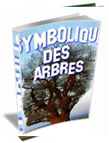 Couverture de Symbolique des Arbres